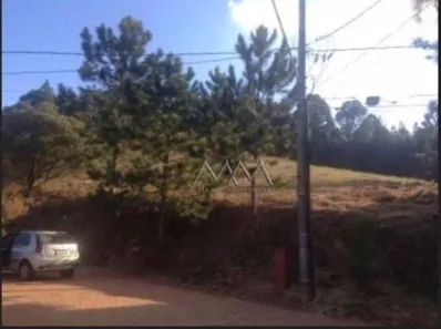 Lote/Terreno à venda, 2816m² no Bosque da Ribeira, Nova Lima