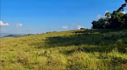 Lote/Terreno à venda, 5000m² no , Cambuí