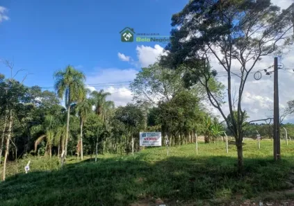 Lote/Terreno à venda, 37510m² no Thomaz Coelho, Araucária