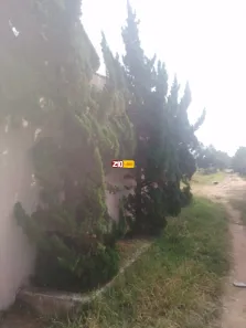 Fazenda/Sítio com 2 Quartos à venda, 1485m² no Chácaras São Judas Tadeu, Campinas