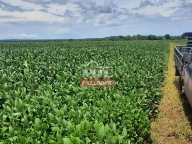 Fazenda/Sítio à venda, 500m² no Setor Central, Goianorte