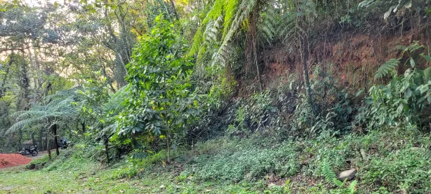 Lote/Terreno à venda, 1526m² no Caraguatá, Mairiporã