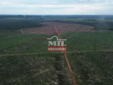 Fazenda/Sítio à venda, 500m² no Setor Central, Goiatins