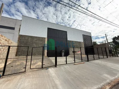 Galpão/Depósito/Armazém à venda, 230m² no Jardim Zara, Ribeirão Preto