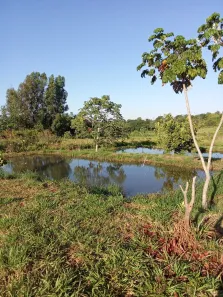 Fazenda/Sítio com 3 Quartos à venda, 20000m² no Centro, Terenos