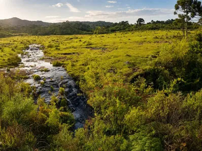 Fazenda/Sítio à venda, 20000m² no Urubici, Urubici