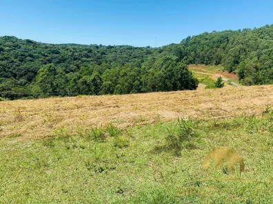 Lote/Terreno à venda, 1245m² no Jundiaizinho (Terra Preta), Mairiporã