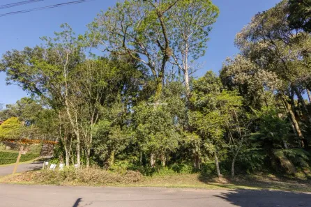 Lote/Terreno à venda, 1078m² no Ipê Amarelo, Gramado