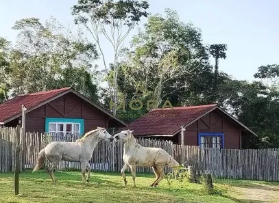 Fazenda/Sítio com 1 Quarto à venda, 80000m² no , Itacaré