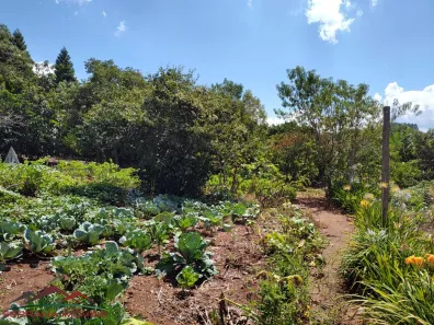 Lote/Terreno à venda, 1845m² no Nova Petrópolis, Nova Petrópolis
