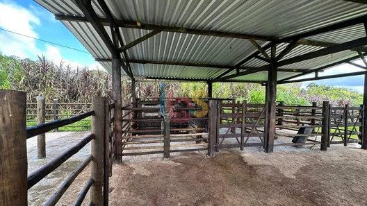 Fazenda/Sítio com 3 Quartos à venda, 470000m² no Área Rural de Ilhéus, Ilhéus