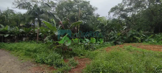 Lote/Terreno à venda, 1300m² no Porto de Cima, Morretes