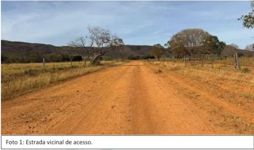 Fazenda/Sítio à venda, 10190000m² no Centro, Riachinho