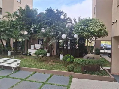 Apartamento com 3 Quartos à venda, 55m² no Jardim Santa Terezinha (Zona Leste), São Paulo