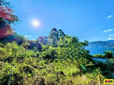 Fazenda/Sítio com 1 Quarto à venda, 3729m² no , Nova Petrópolis