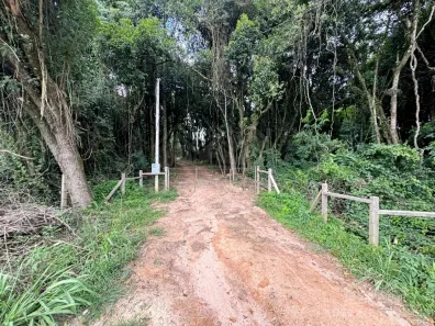 Fazenda/Sítio à venda, 130000m² no , Carambeí