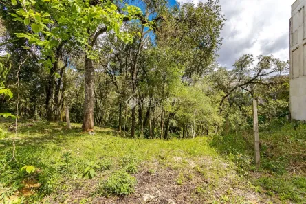 Lote/Terreno à venda, 1439m² no Campo Comprido, Curitiba