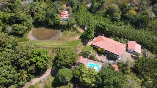 Fazenda/Sítio com 3 Quartos à venda, 300000m² no Redenção, Redenção