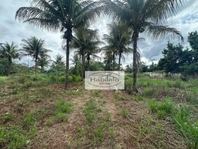 Fazenda/Sítio com 1 Quarto à venda, 3000m² no , Brodowski