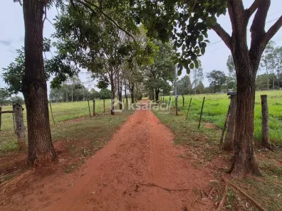 Fazenda/Sítio com 4 Quartos à venda, 50760m² no Centro, Campo Grande