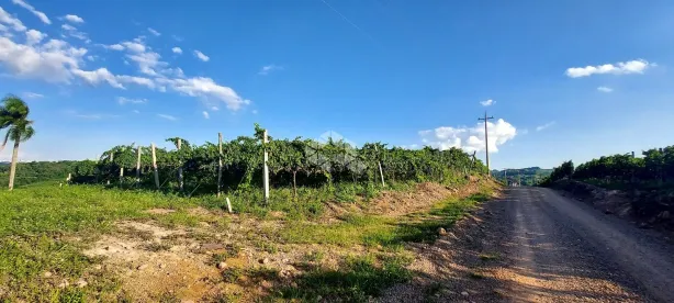 Fazenda/Sítio à venda, 13000m² no , Bento Gonçalves