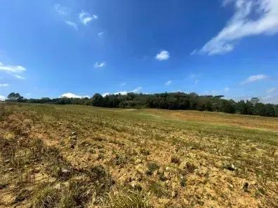 Lote/Terreno à venda, 500m² no Santana, Cotia