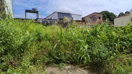 Lote/Terreno à venda, 250m² no Vila da Prata, Manaus