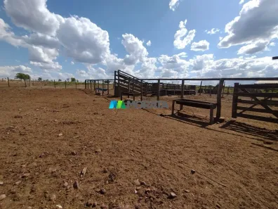 Fazenda/Sítio com 1 Quarto à venda, 1000m² no , Santa Fé de Minas