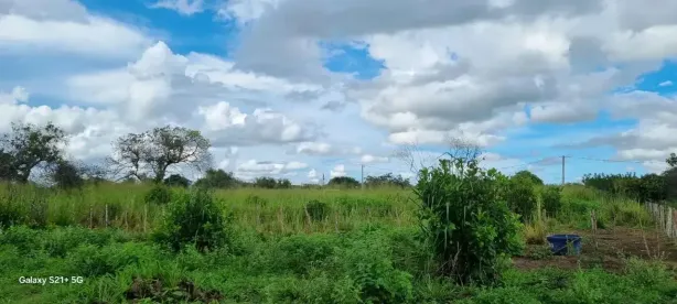Fazenda/Sítio com 3 Quartos à venda, 85700m² no , Macaíba