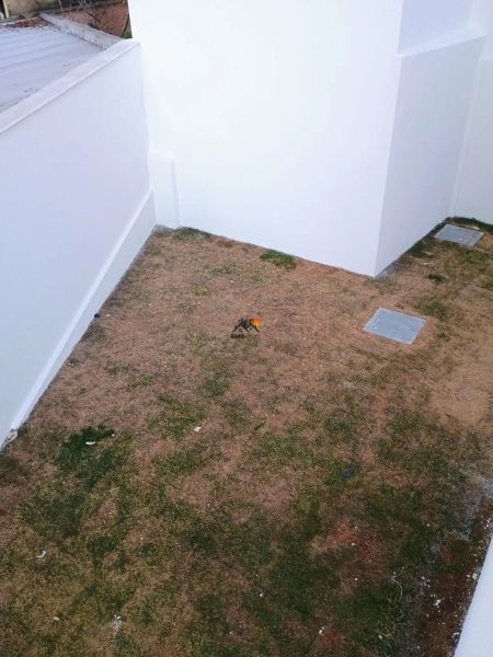 Foto 10