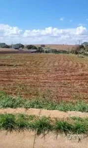 Lote/Terreno para alugar, 10000m² no Br-376, Marialva