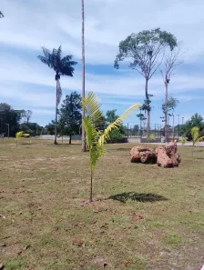 Lote/Terreno à venda, 240m² no Campina de Icoaraci (Icoaraci), Belém