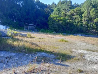 Galpão/Depósito/Armazém para alugar, 5000m² no Perová, Arujá