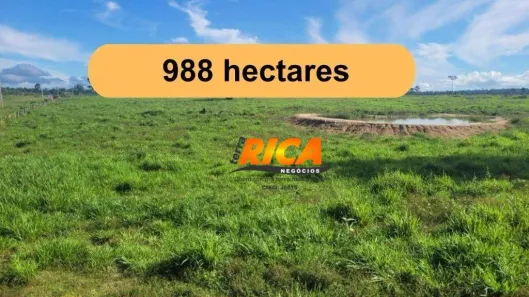 Fazenda/Sítio à venda, 9880000m² no Área Rural de Porto Velho, Porto Velho