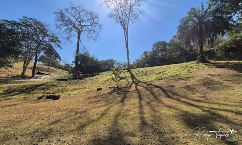 Lote/Terreno à venda, 3839m² no Residencial Aldeia do Vale, Goiânia