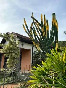 Lote/Terreno à venda, 516m² no Santo Inácio, Santa Cruz do Sul