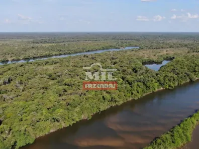 Fazenda/Sítio à venda, 500m² no , Cocalinho