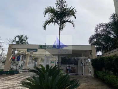 Apartamento com 3 Quartos para alugar, 70m² no Vila Nova, Campinas