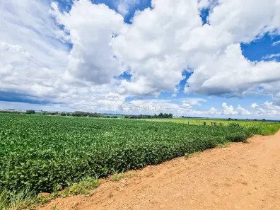 Fazenda/Sítio com 1 Quarto à venda, 60500m² no Recanto dos Pinheiros, Cambé