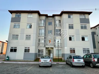 Apartamento com 2 Quartos para alugar, 47m² no Uvaranas, Ponta Grossa