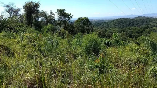 Lote/Terreno à venda, 275000m² no San Marino, Ribeirão das Neves