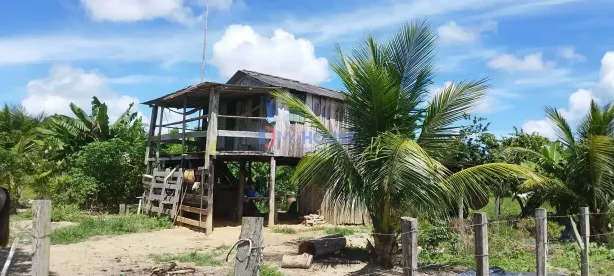 Fazenda/Sítio com 1 Quarto à venda, 10m² no , Canavieiras
