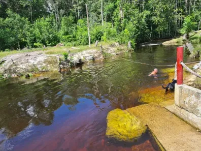 Fazenda/Sítio com 6 Quartos à venda, 660000m² no Centro, Presidente Figueiredo