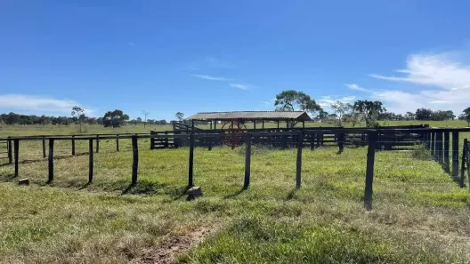 Fazenda/Sítio com 3 Quartos à venda, 786501m² no Zona Rural, Inocência