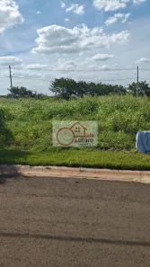 Lote/Terreno à venda, 175m² no Loteamento Lírios dos Vales (Cardeal), Elias Fausto