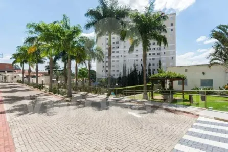 Apartamento com 3 Quartos à venda, 62m² no Jardim Nova Europa, Campinas