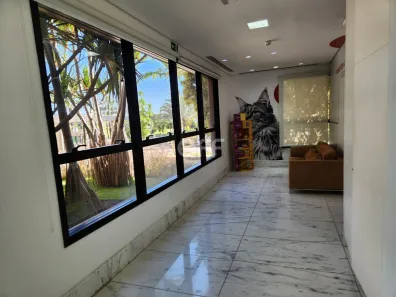 Sala Comercial com 1 Quarto para alugar, 196m² no Parque dos Resedás, Campinas