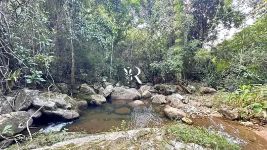 Lote/Terreno à venda, 22000m² no Pedro do Rio, Petrópolis