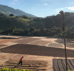 Fazenda/Sítio com 4 Quartos à venda, 400m² no , Ibiraci