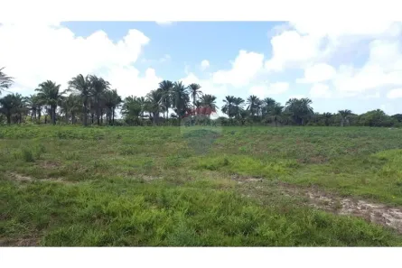 Fazenda/Sítio à venda, 6870000m² no , Piaçabuçu